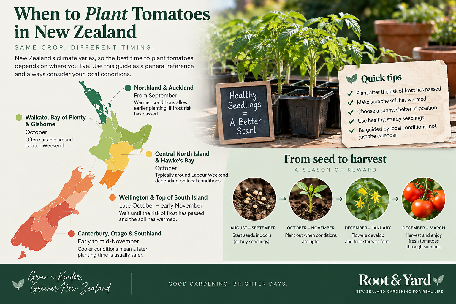 How to grow tomatoes NZ planting calendar for New Zealand gardens